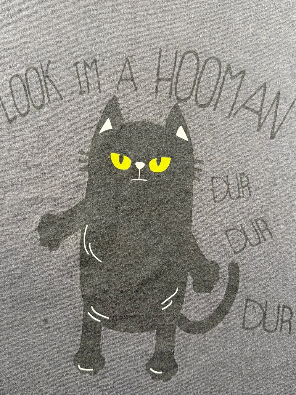 Fruit of The Loom Look Im A Hooman Dur Dur Dur Cat Graphic Gray Women’s Size M